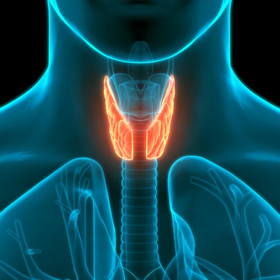 Thyroiditis Treatment