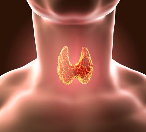 Treatment for Hyperthyroidism