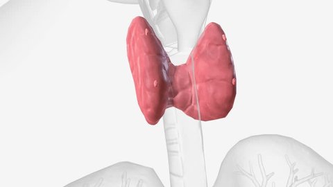 Thyroid nodules