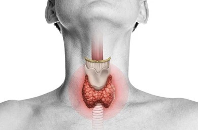 Prognosis And Survival Rates For Thyroid Tumors