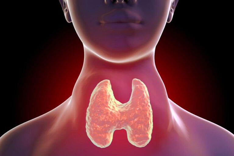 Emerging Research In Hypothyroidism: Promising Insights And Innovations